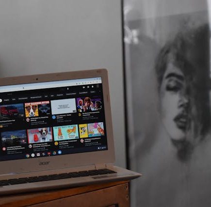O impacto do YouTube no Brasil